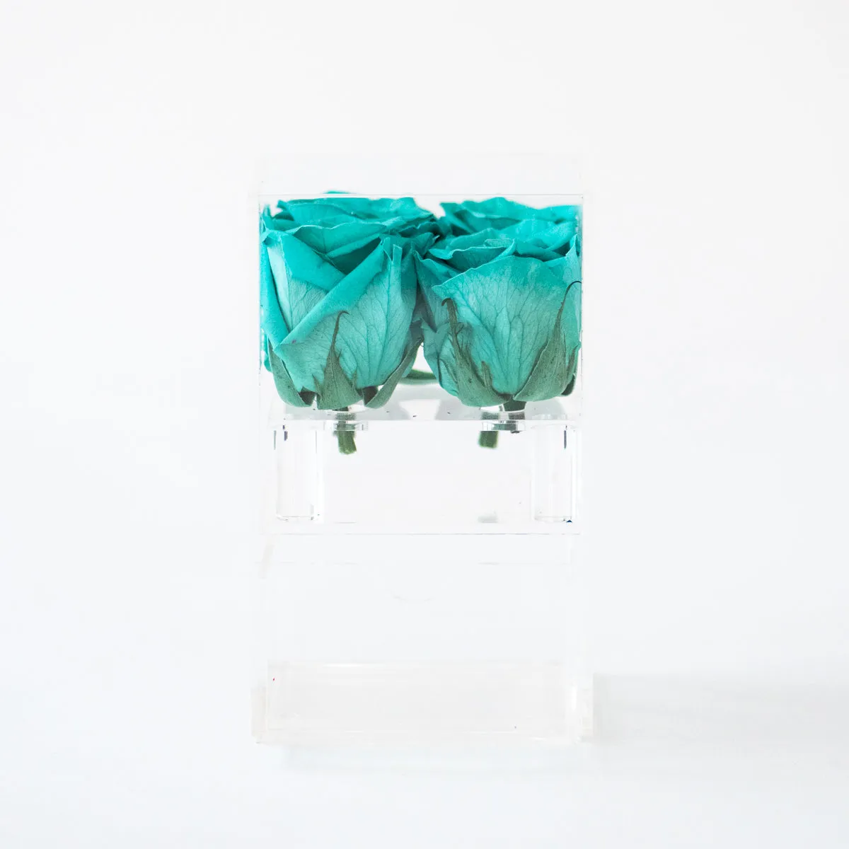 4 Roses with Drawer Preserved