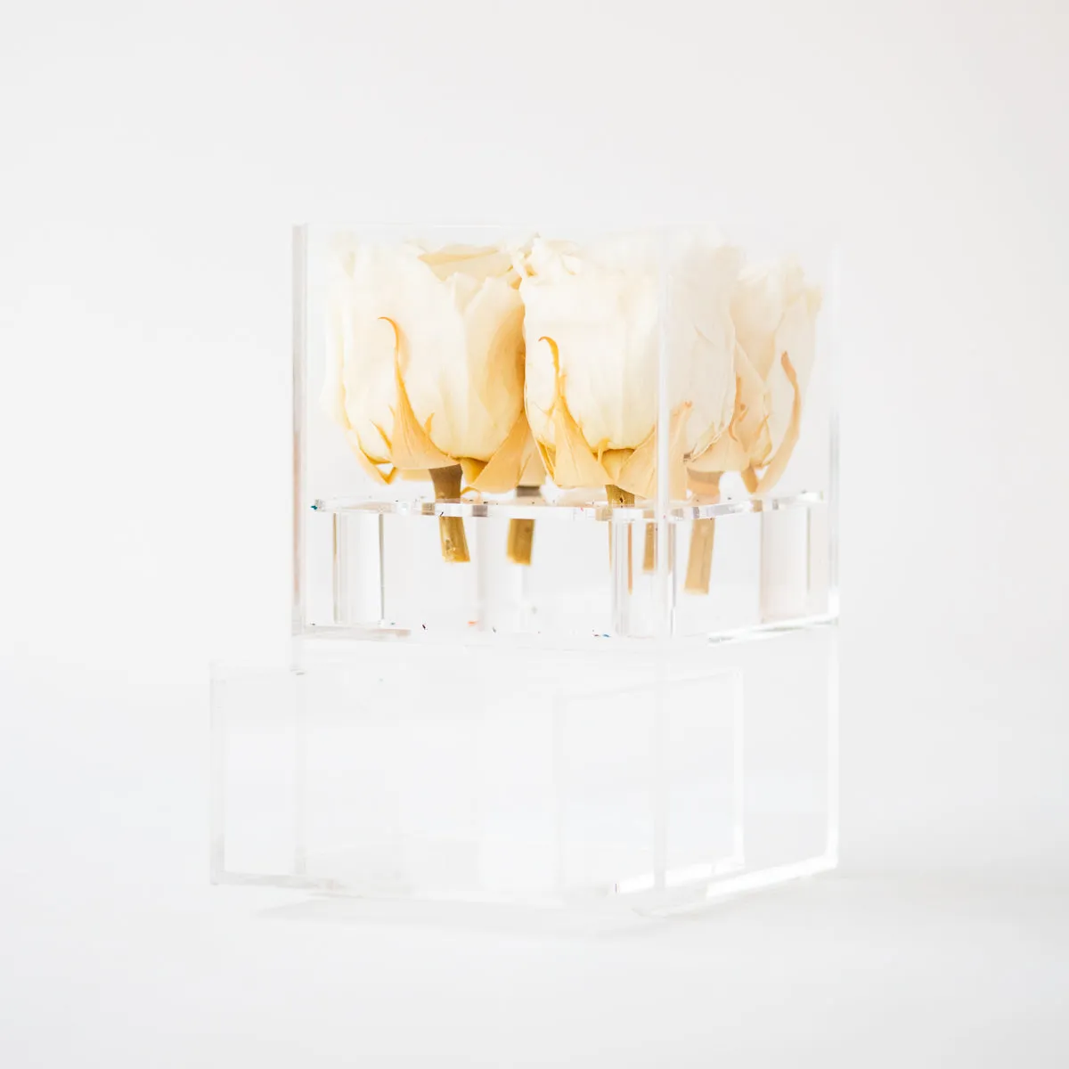 4 Roses with Drawer Preserved