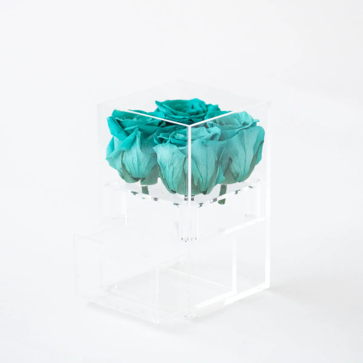 4 Roses with Drawer Preserved