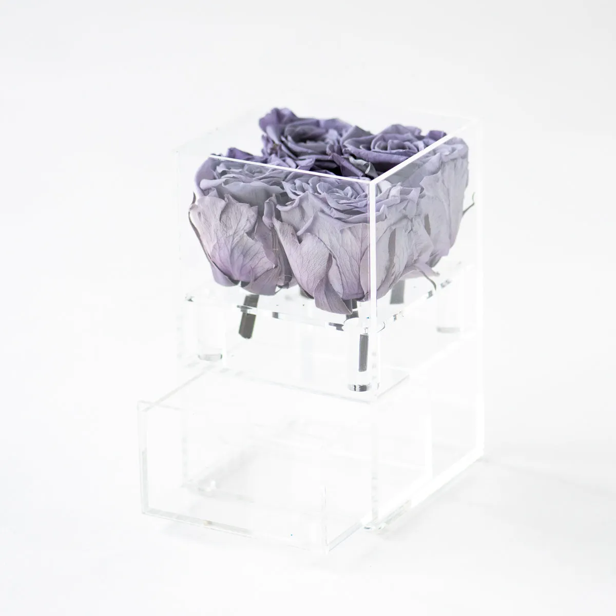 4 Roses with Drawer Preserved