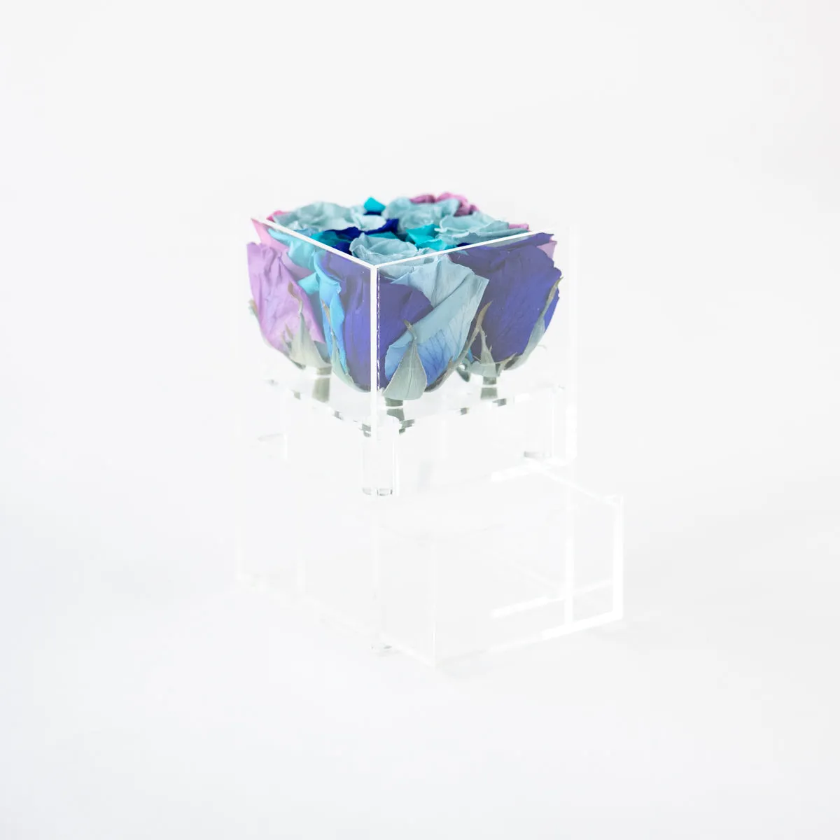 4 Roses with Drawer Preserved