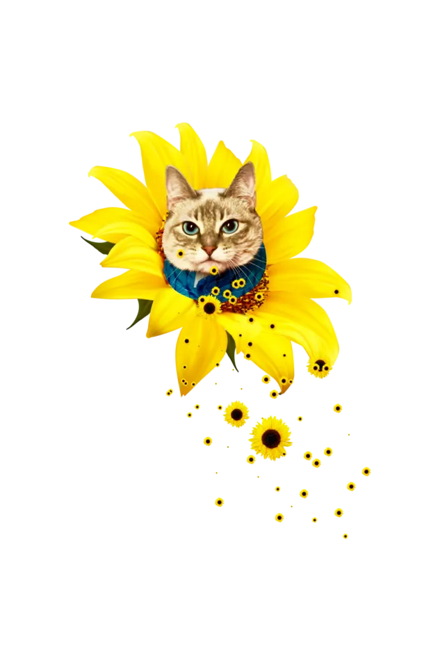 A Meowment Of Sunshine Tote Bag (With Zip)
