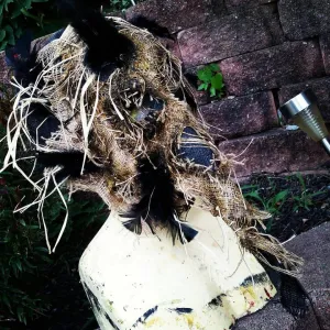 Bird Flu
