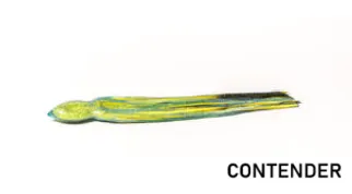 Bonze "The Doctor" Lures