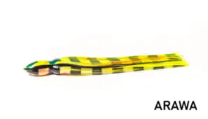 Bonze "The Doctor" Lures