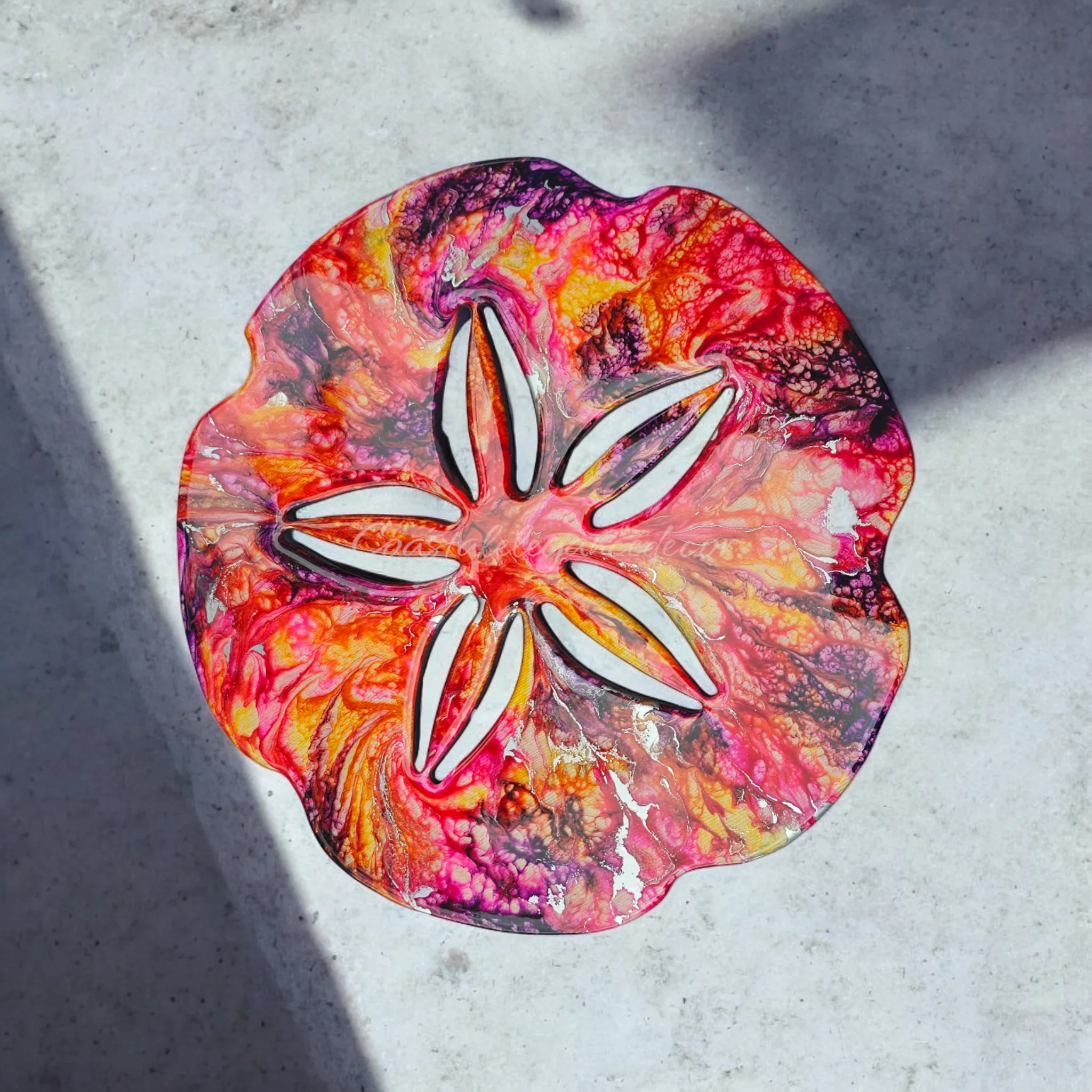 Colorful Beach Sand Dollar Wall Decoration Handmade