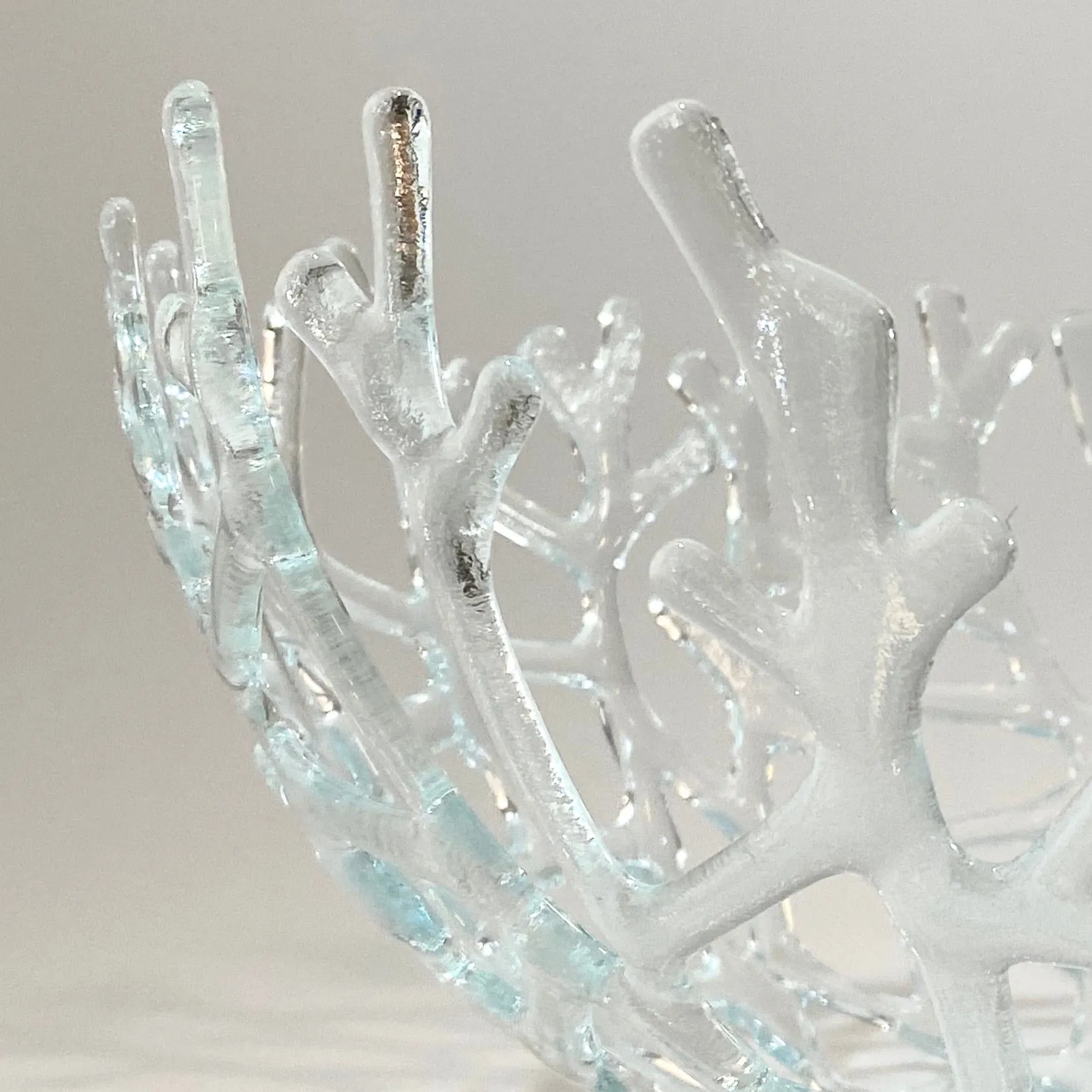 Coral Branch Bowl | Large Clear Glass