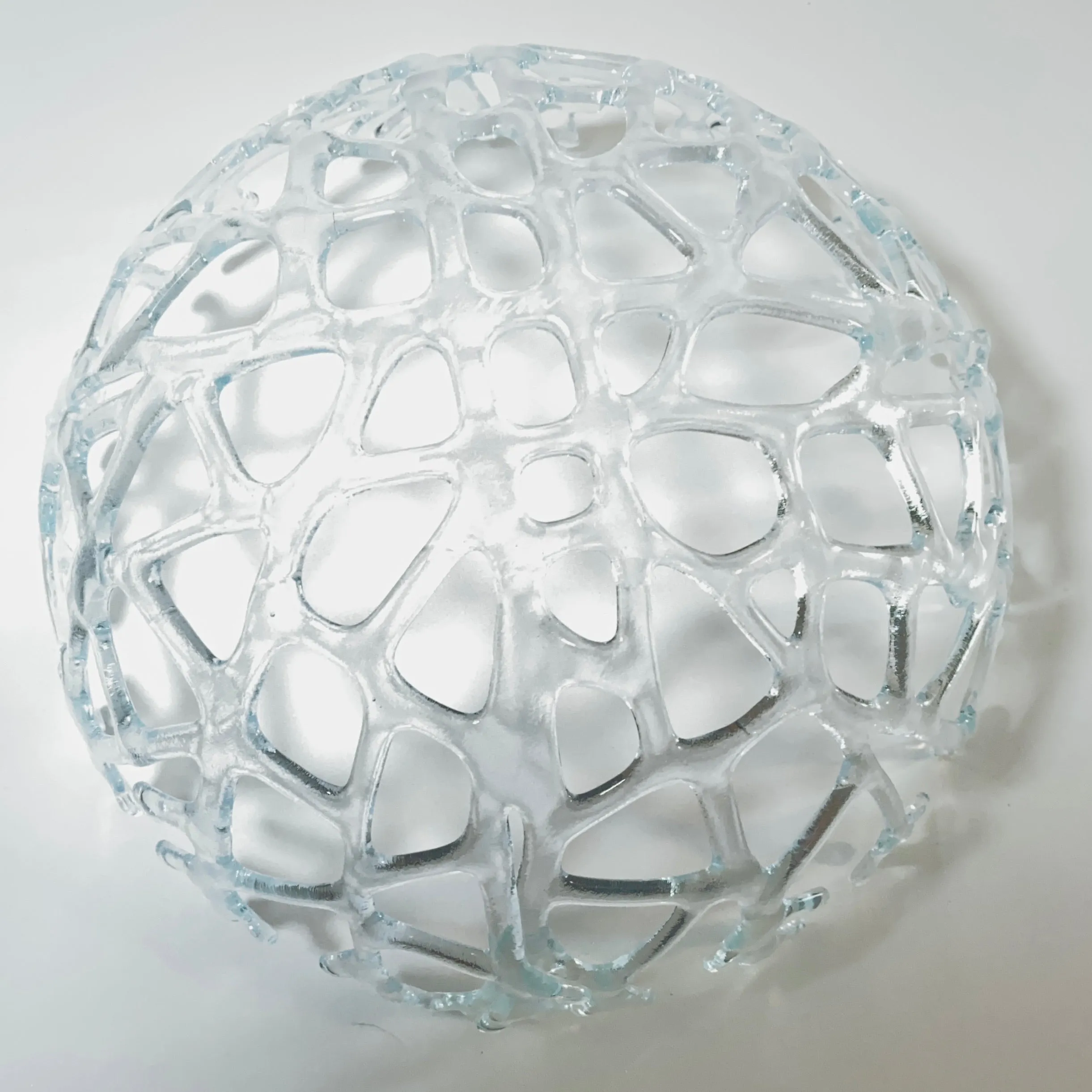 Coral Branch Bowl | Large Clear Glass