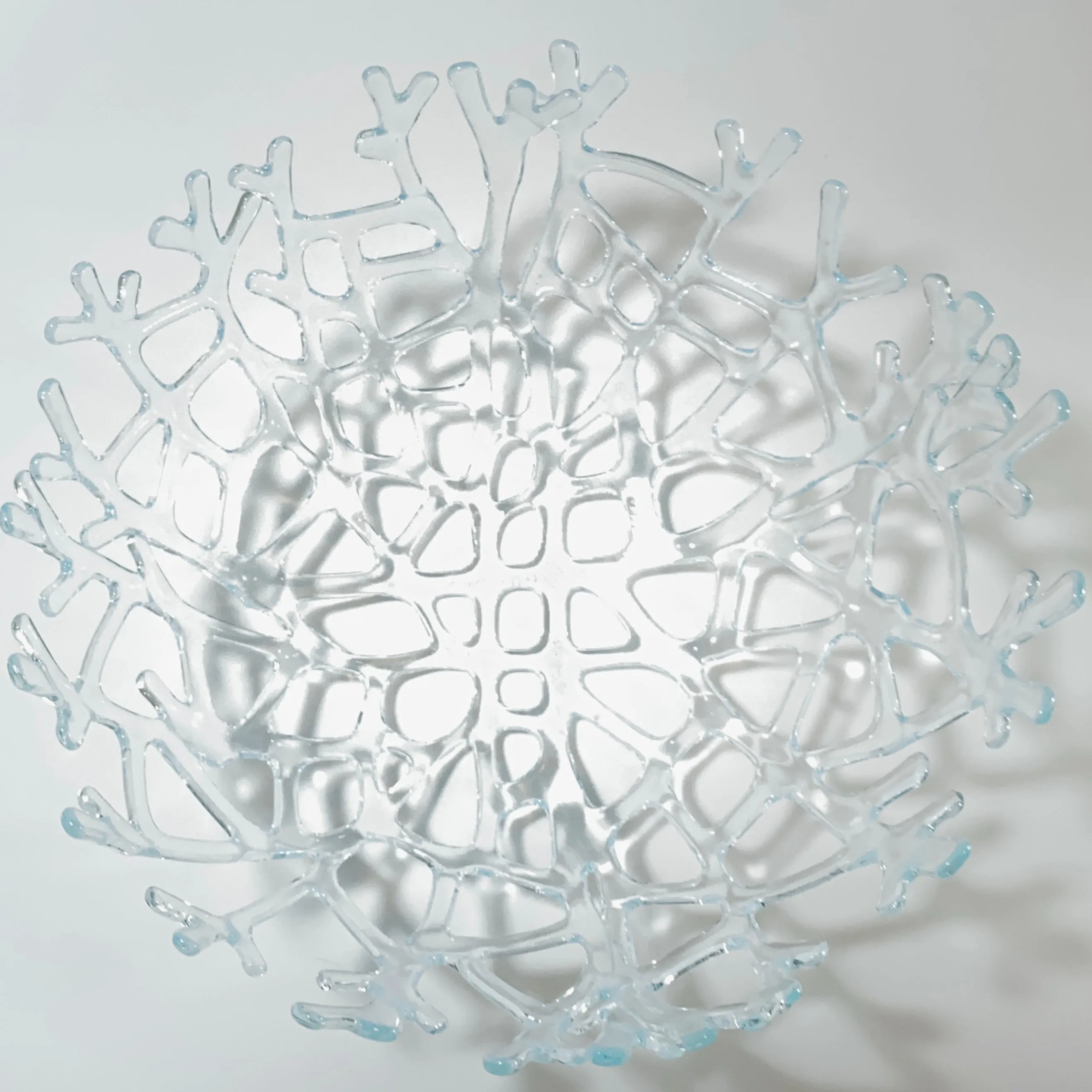 Coral Branch Bowl | Large Clear Glass