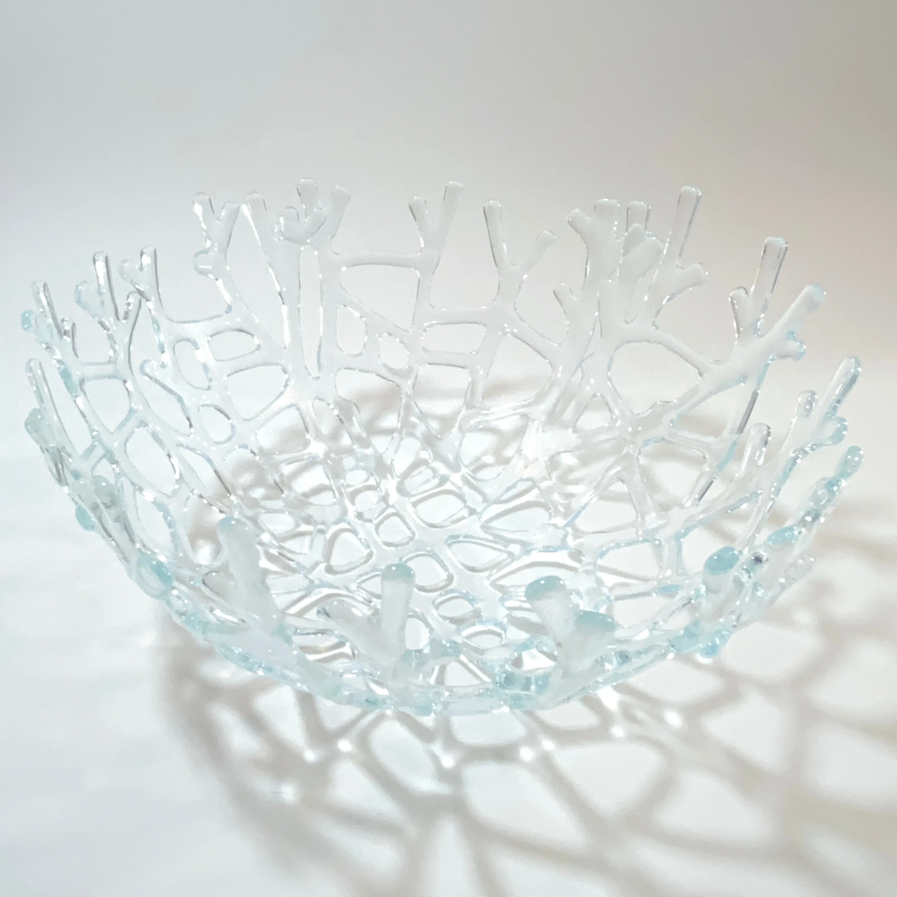 Coral Branch Bowl | Large Clear Glass