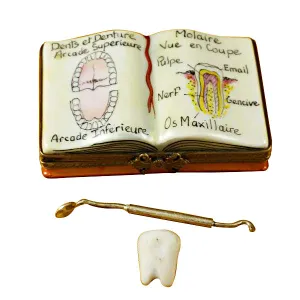 DENTISTRY BOOK LIMOGES PORCELAIN BOX - Item #1993