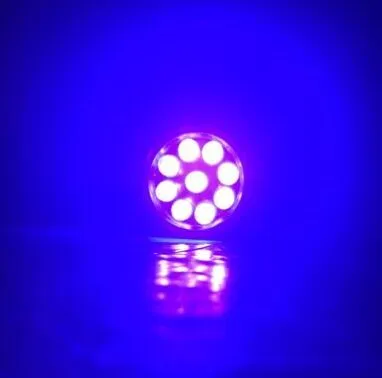 Ding Repair - UV Curing Light