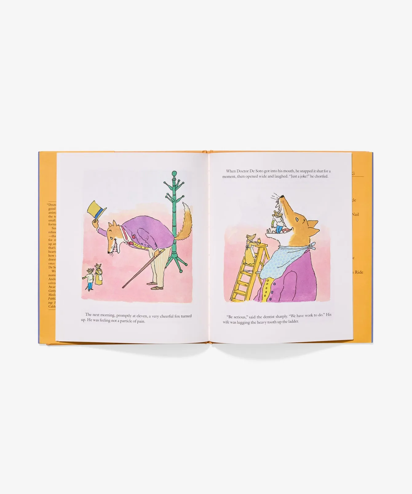 Hardcover Book, Doctor De Soto