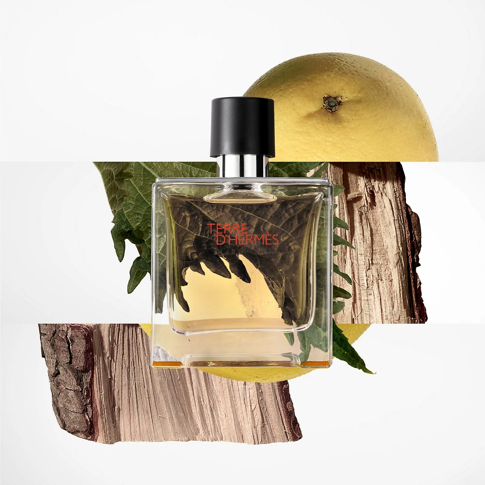 Hermes - Terre D'Hermes Eau De Toilette