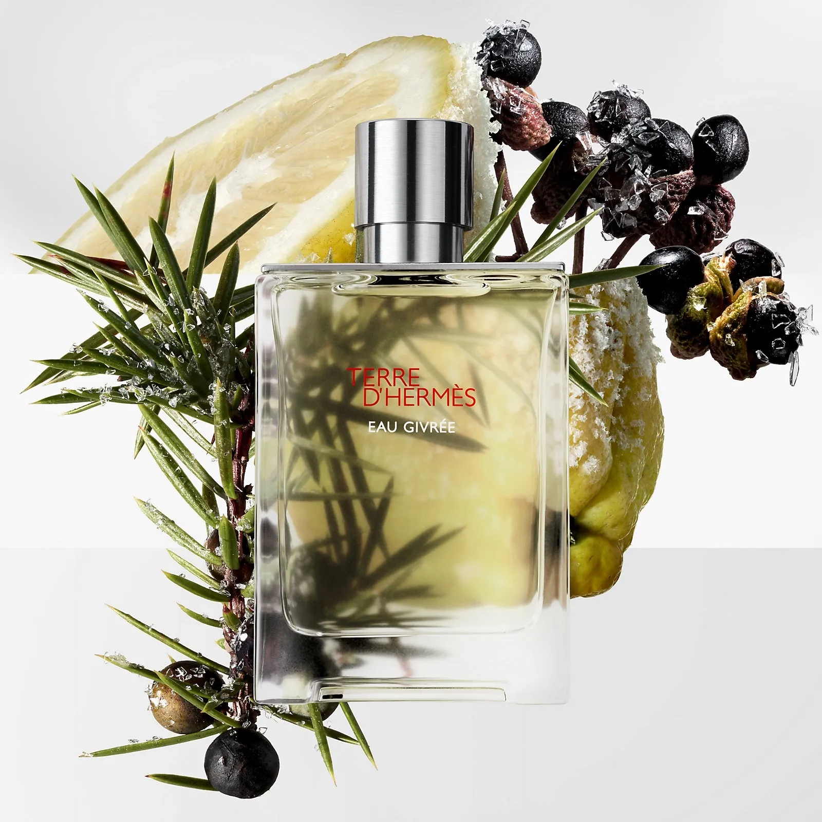 Hermes - Terre D'Hermes Eau Givree Eau de Parfum