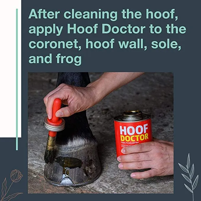 Hoof Doctor