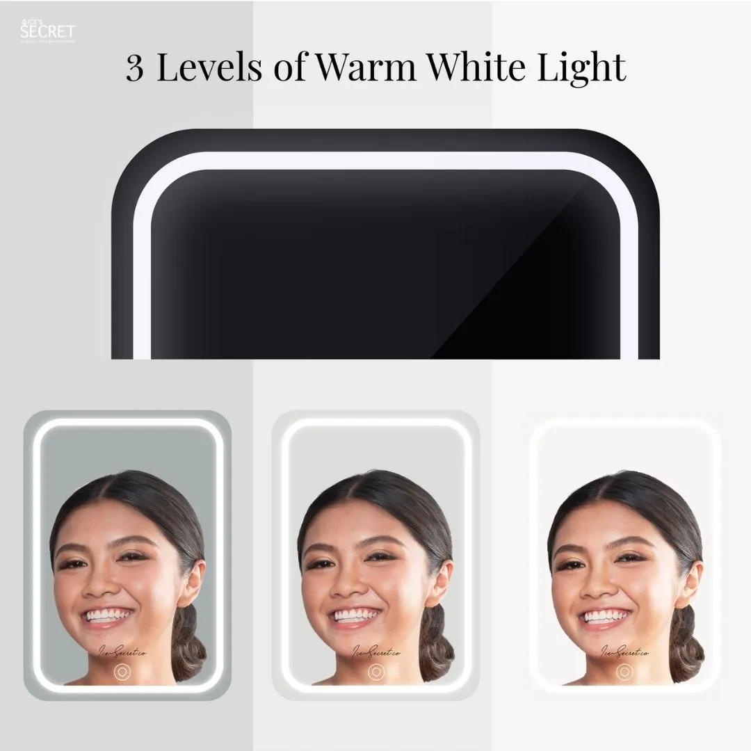 Ice's Secret LED Vanity Fridge with Mirror