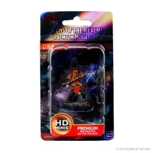 Male Dragonborn Fighter: D&D Icons of the Realms Premium Figures (W3)