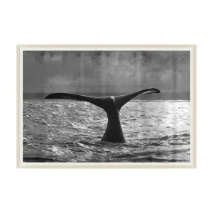 Metallic Whale
