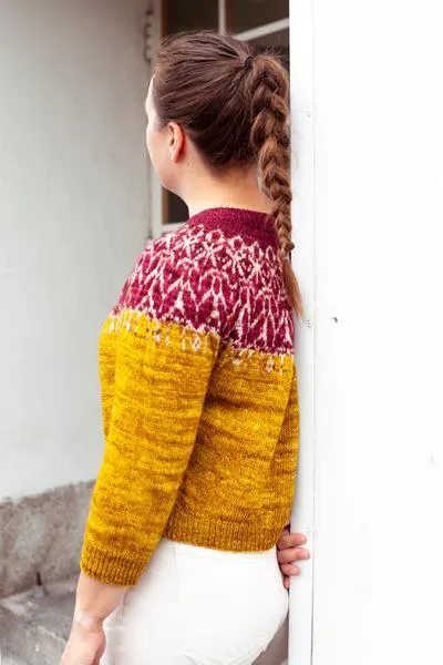 Modern Daily Knitting MDK Field Guide