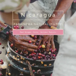 Nicaragua - Parainema Natural [Filter]