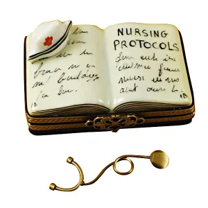 NURSING PROTOCOLS BOOK LIMOGES PORCELAIN BOX - Item #1994