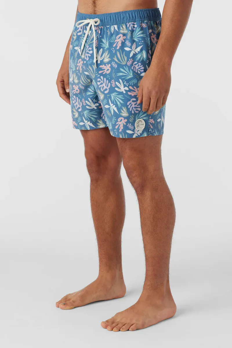 OG Volley Boardies