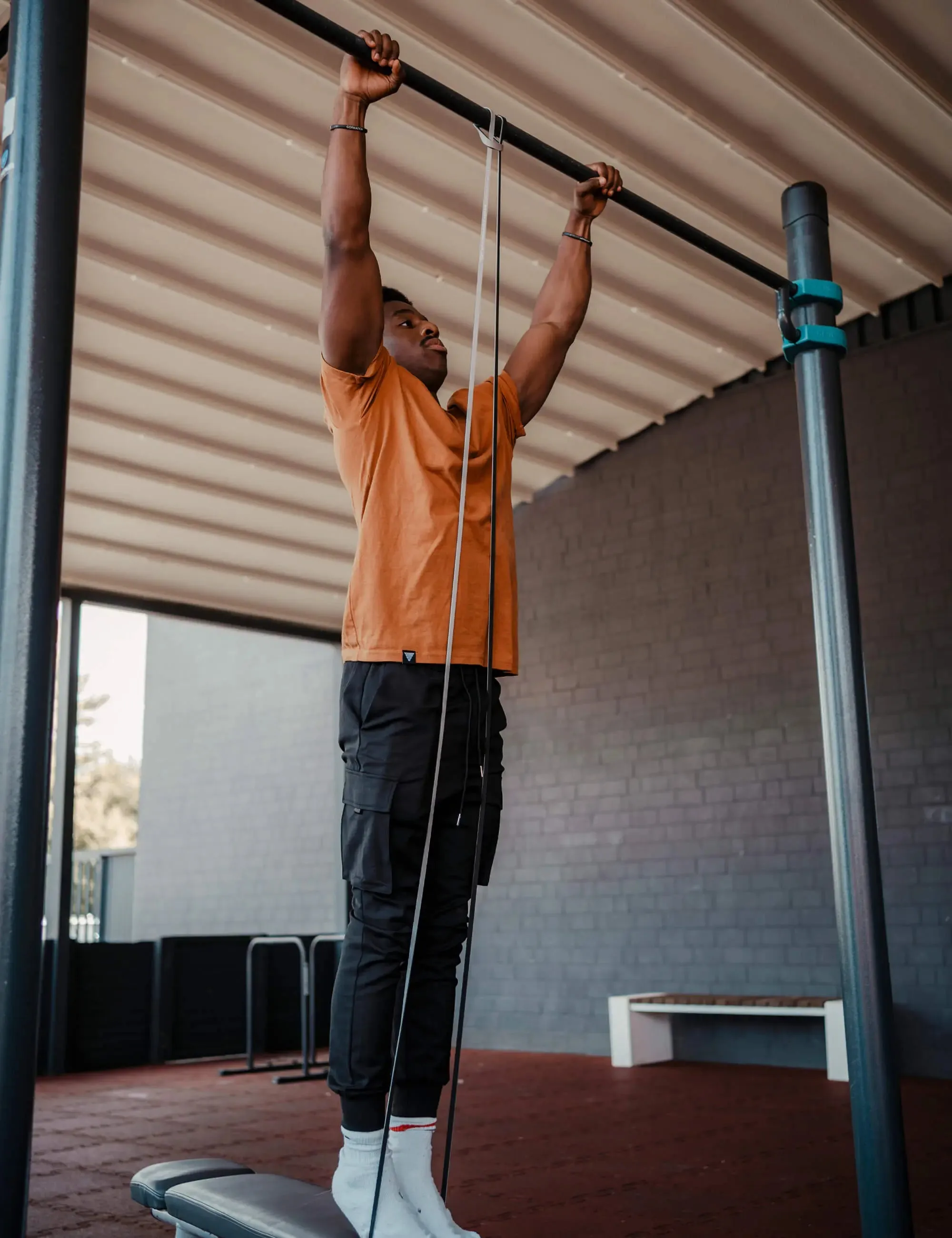 Premium Resistance Bands