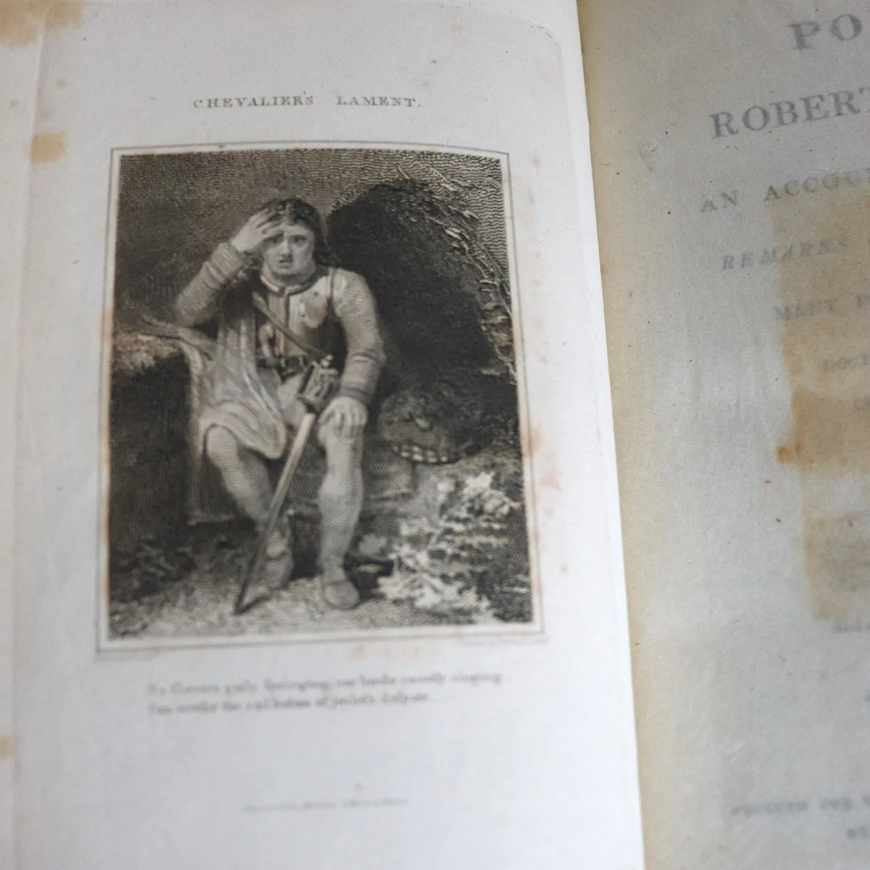 Set of Two Books: Poems by Robert Burns, With An Account of His Life
