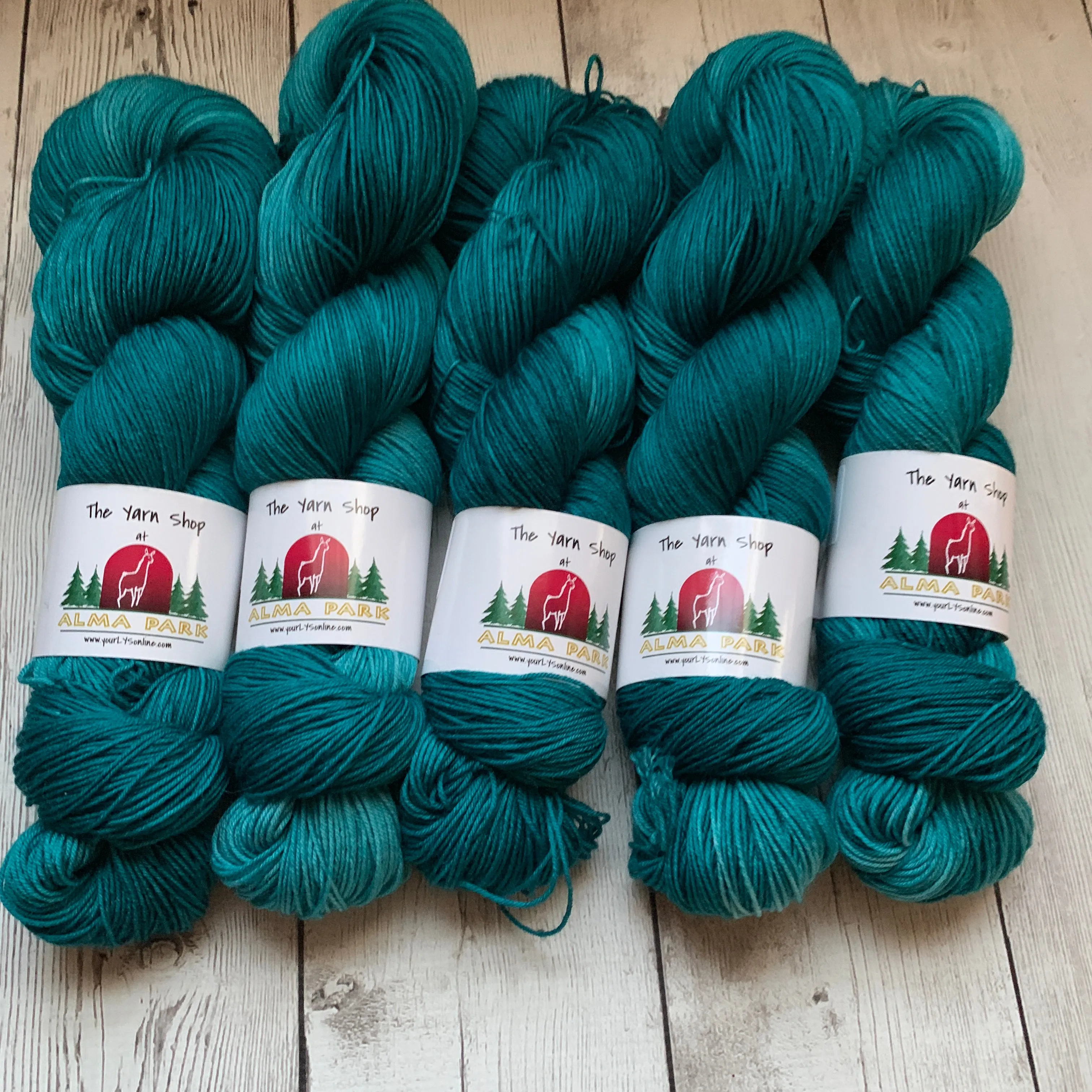 SOCK WEIGHT -Doctor Who goes to Westeros™ (The EYRIE) 463 yds 3.5 oz RTS (110)