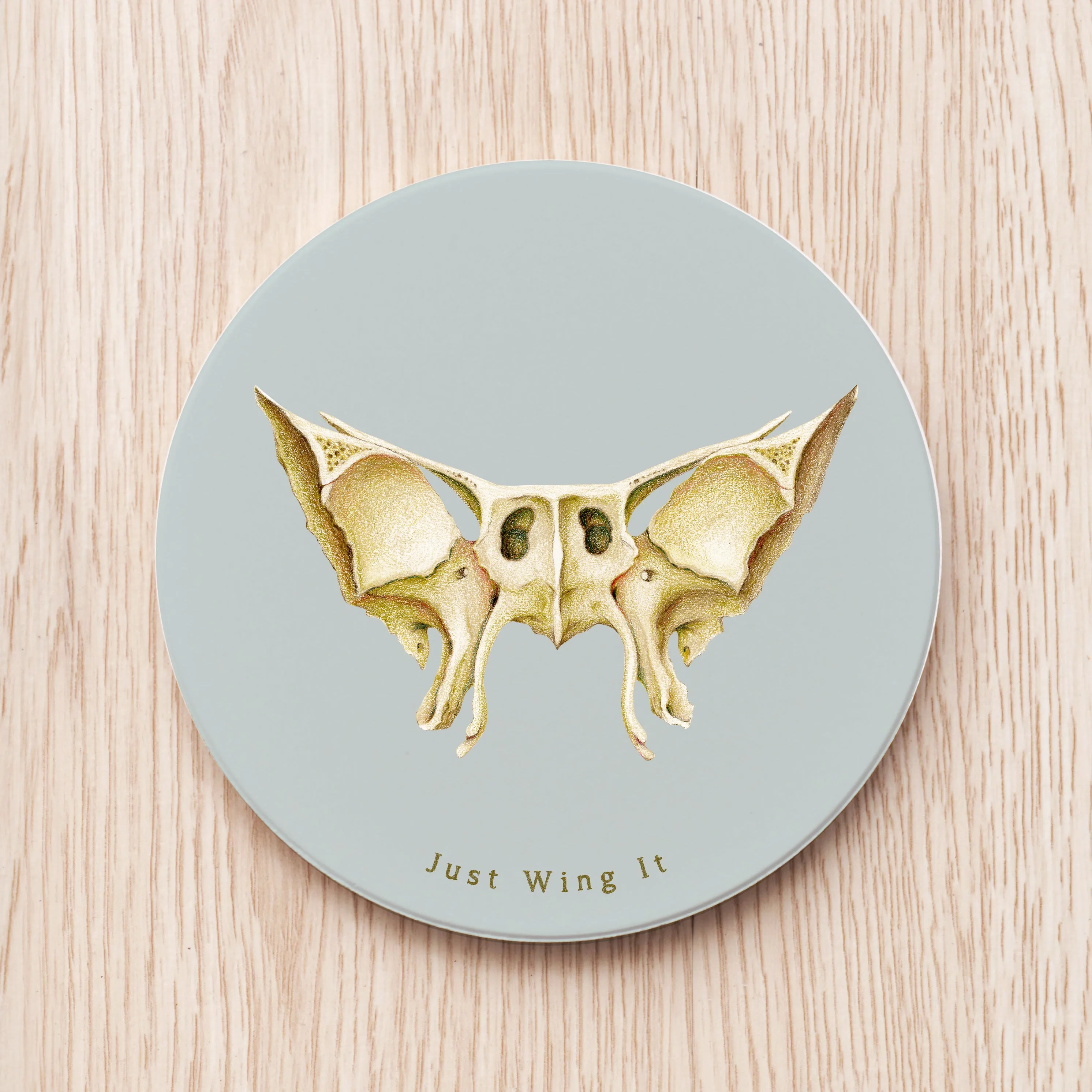 Sphenoid Bone Ceramic Coaster