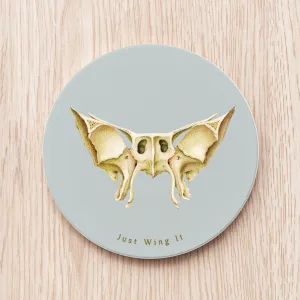 Sphenoid Bone Ceramic Coaster