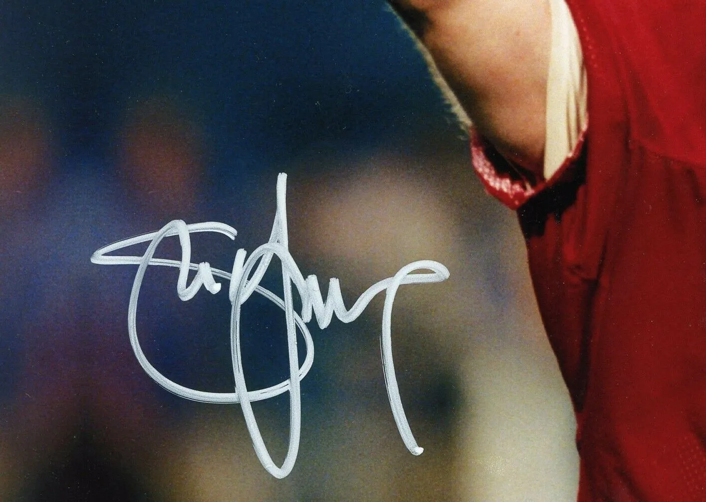 Steve Young Signed San Francisco 49ers Unframed 8x10 NFL Photo