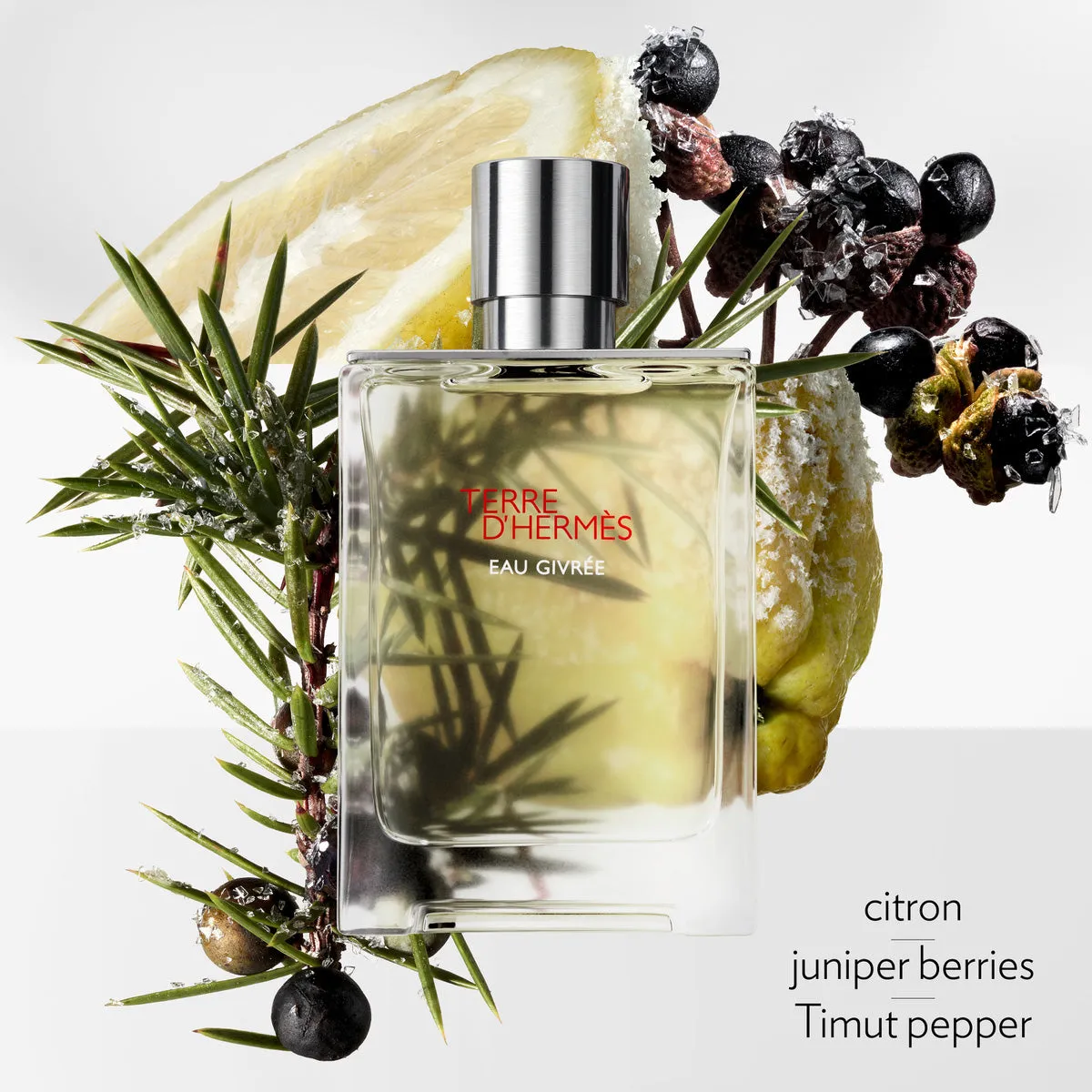 Terre d’Hermès Eau Givrée, Eau de Parfum