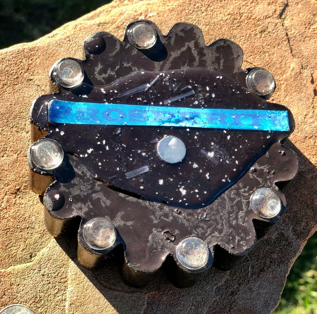 The “Flower” - Small Charging Plate for water, food, plants, supplements 💦✨🌀