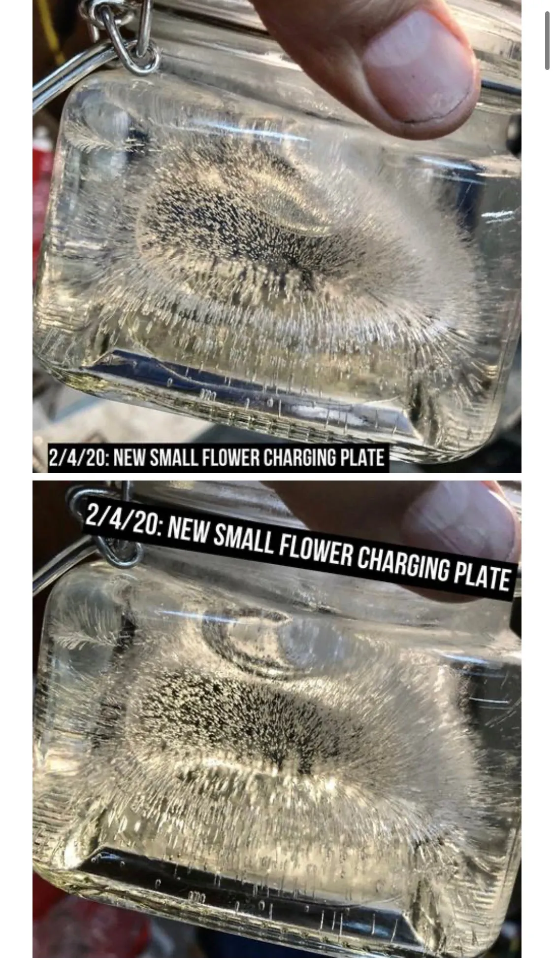 The “Flower” - Small Charging Plate for water, food, plants, supplements 💦✨🌀