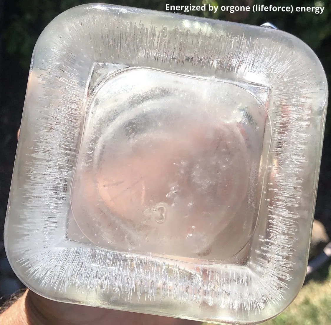 The “Flower” - Small Charging Plate for water, food, plants, supplements 💦✨🌀