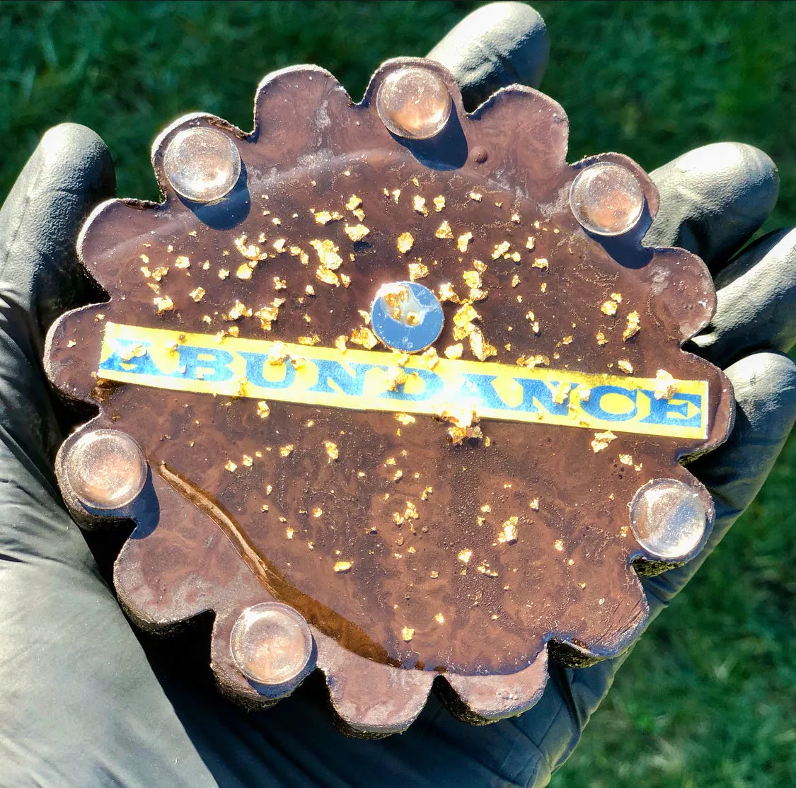The “Flower” - Small Charging Plate for water, food, plants, supplements 💦✨🌀