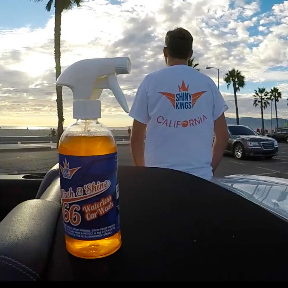 Waterless carwash wash&wax Quick detailer Wash&Shine 66  - 1x16.9 oz (no towel incl.)